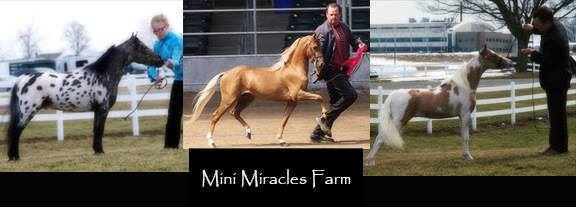 Mini Miracles Farm Michigan